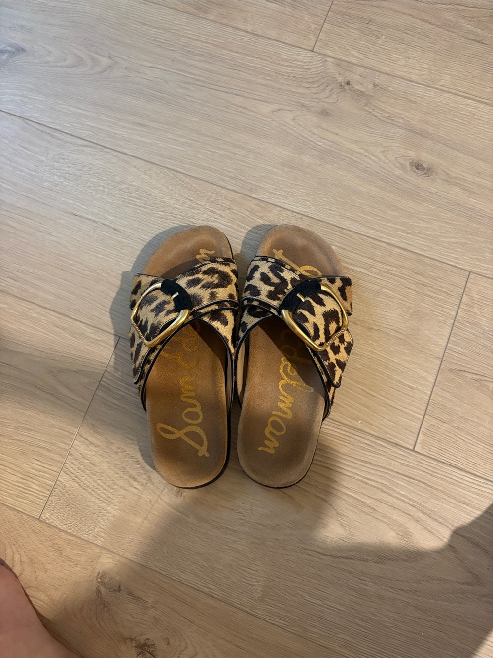 Sam Edelman Leopard-Print Slide Sandals with Gold Buckles